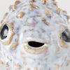 Spike I (Small) 8L x 4W Off-White Ceramic Puffer Fish, Decorative Object by Mercana, 7.48" length x 4.33" width x 4.53" height thumbnail 8