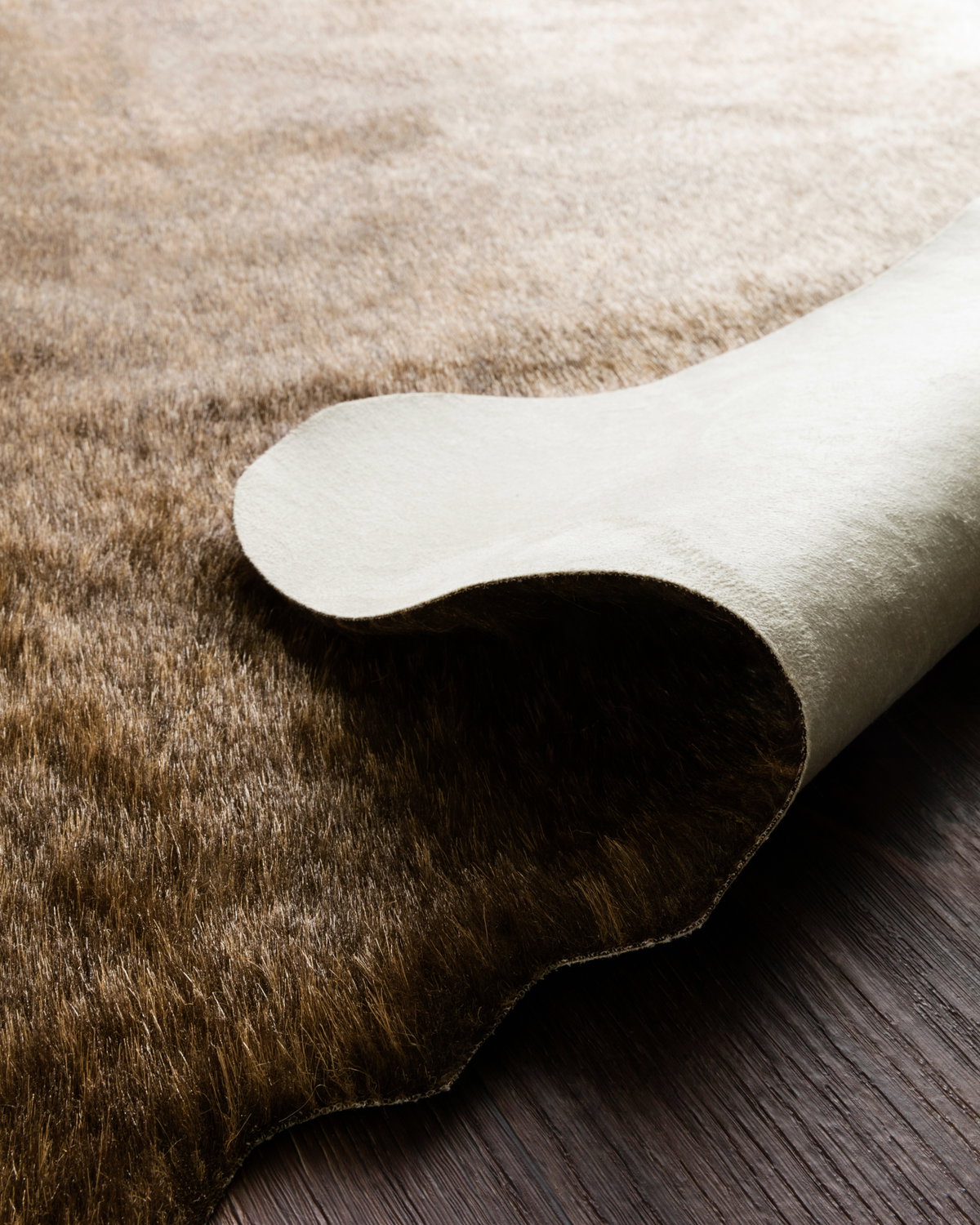 Loloi Grand Canyon Rug, 5' length x 6'6" width View 6