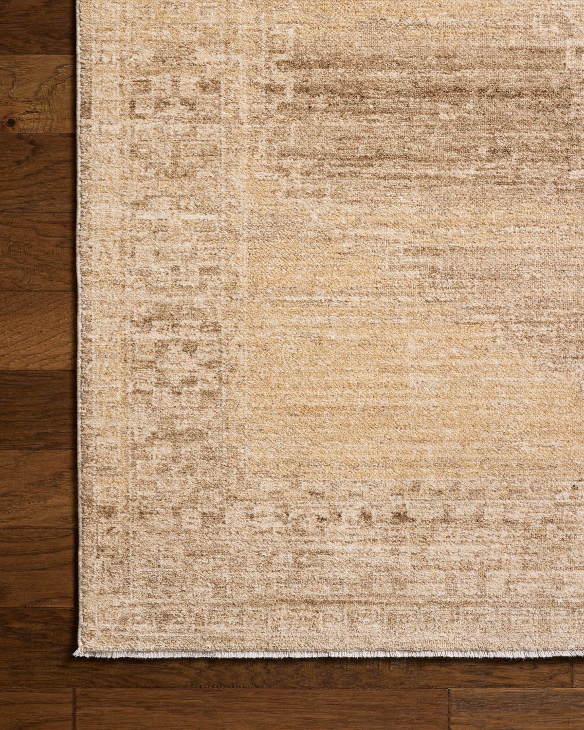 Chris Loves Julia x Loloi Palma Rug, 1'6" length x 1'6" width View 6