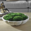 Awaken Moss Centerpiece, Artificial Plants & Flower by Uttermost, 16.75" width x 6" height x 16.75" depth thumbnail 2
