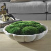 Awaken Moss Centerpiece, Decorative by Uttermost, 16.75" width x 6" height x 16.75" depth thumbnail 2