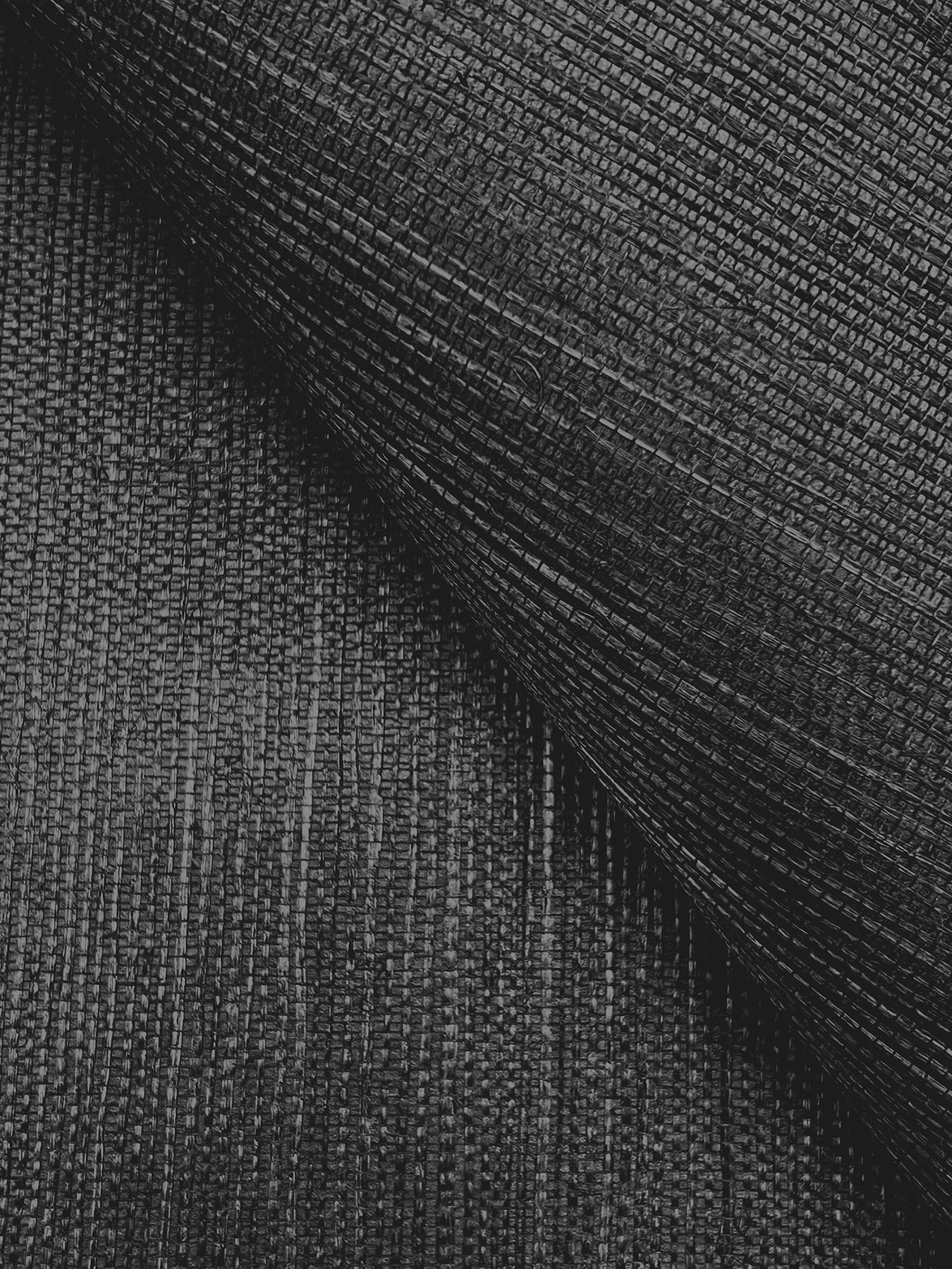 Maguey Sisal Black Wallpaper Maguey Sisal Black Wallpaper large image