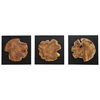 Kolini Teak Wood Wall Decor Set/3 thumbnail 0