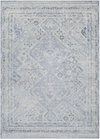 Alpharetta Machine Woven Rug, by Surya, 1'3.75" length x 1'3.75" width thumbnail