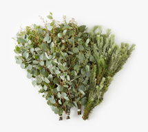 Online Designer Living Room Live Wooly Bush & Seeded Eucalyptus, 6 Bunches