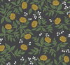 Peonies Black & Gold Wallpaper thumbnail 0