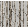 The Birches Silver Grey & Taupe Wallpaper thumbnail 0