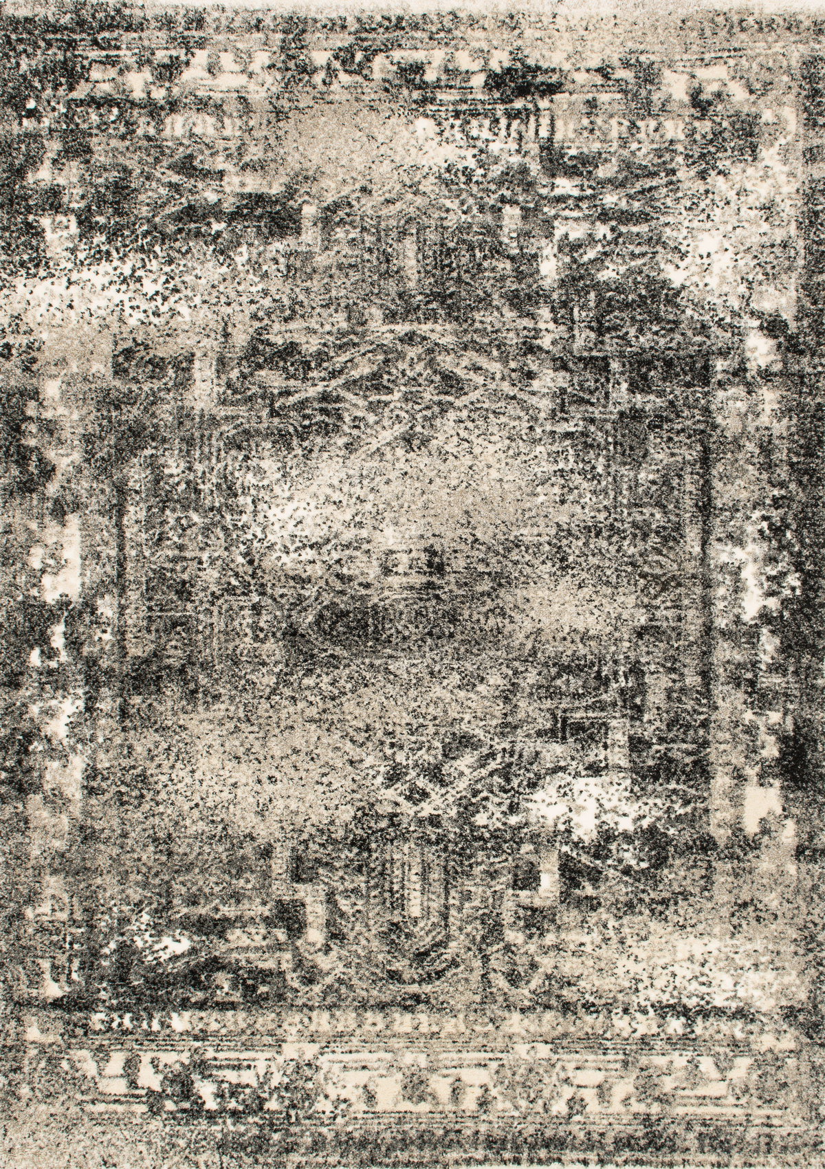 Loloi Viera Rug, 3'10" length x 5'7" width View 1