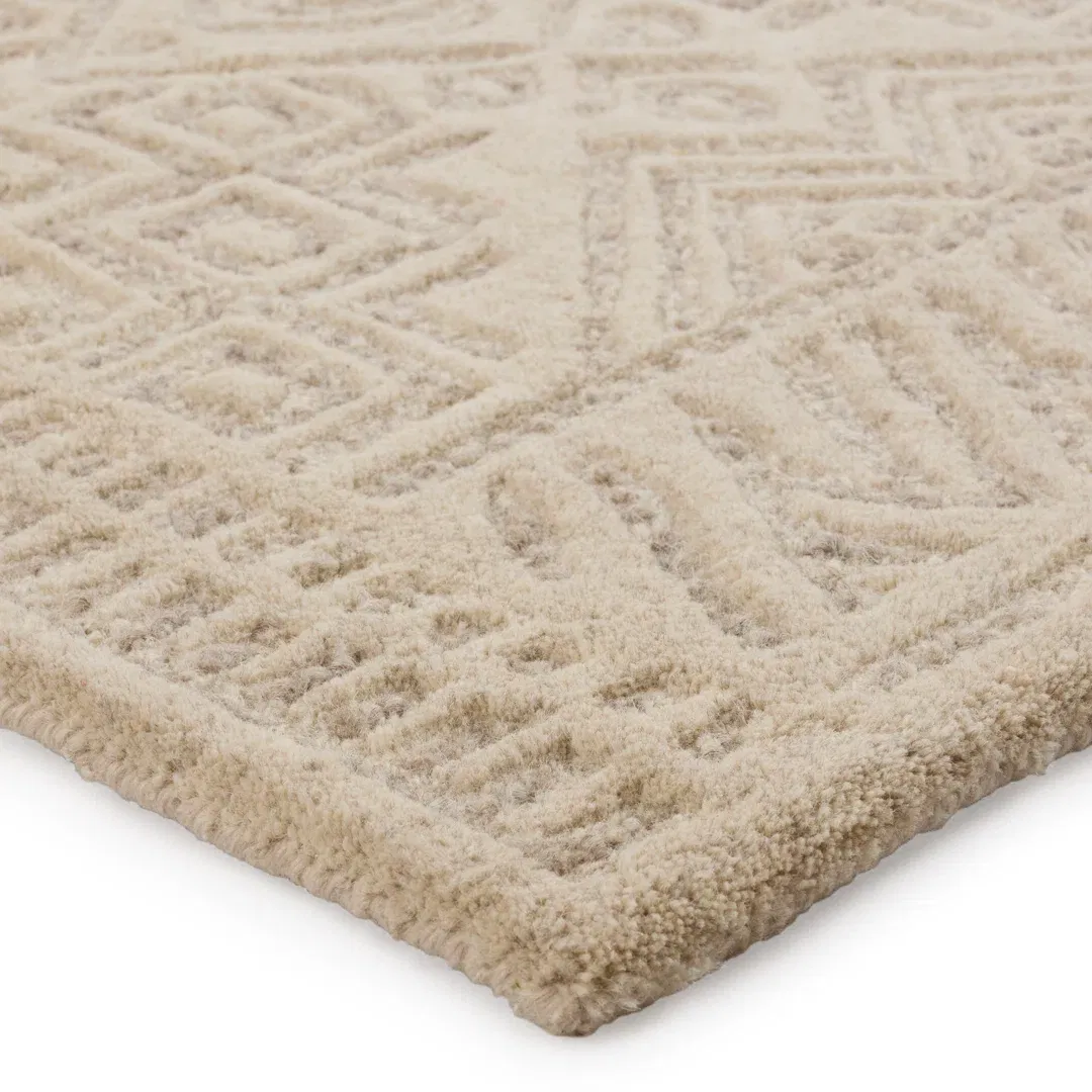 Oriental Handmade Tufted Wool Area Rug in Beige large image 