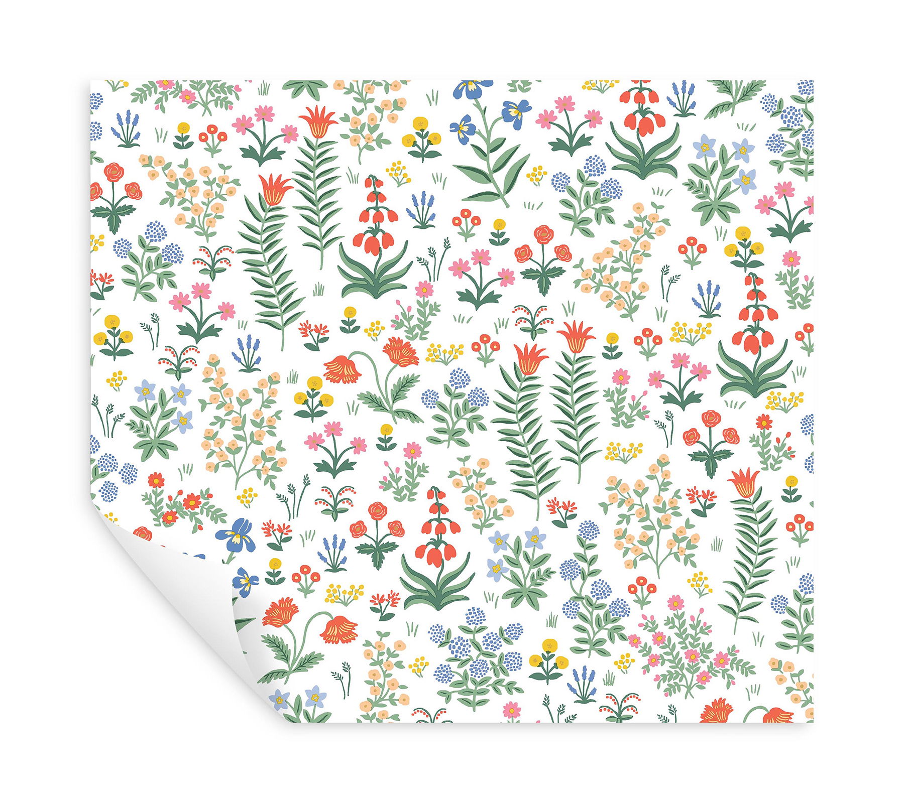 Menagerie Garden Rose Multicolor Peel & Stick Wallpaper large image 