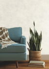 Blanc De Blanc White Wallpaper thumbnail 1