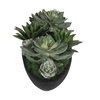 Verde Succulent Centerpiece In Bowl, Artificial Plants & Flower by Uttermost, 29" width x 6" height x 8" depth thumbnail 5