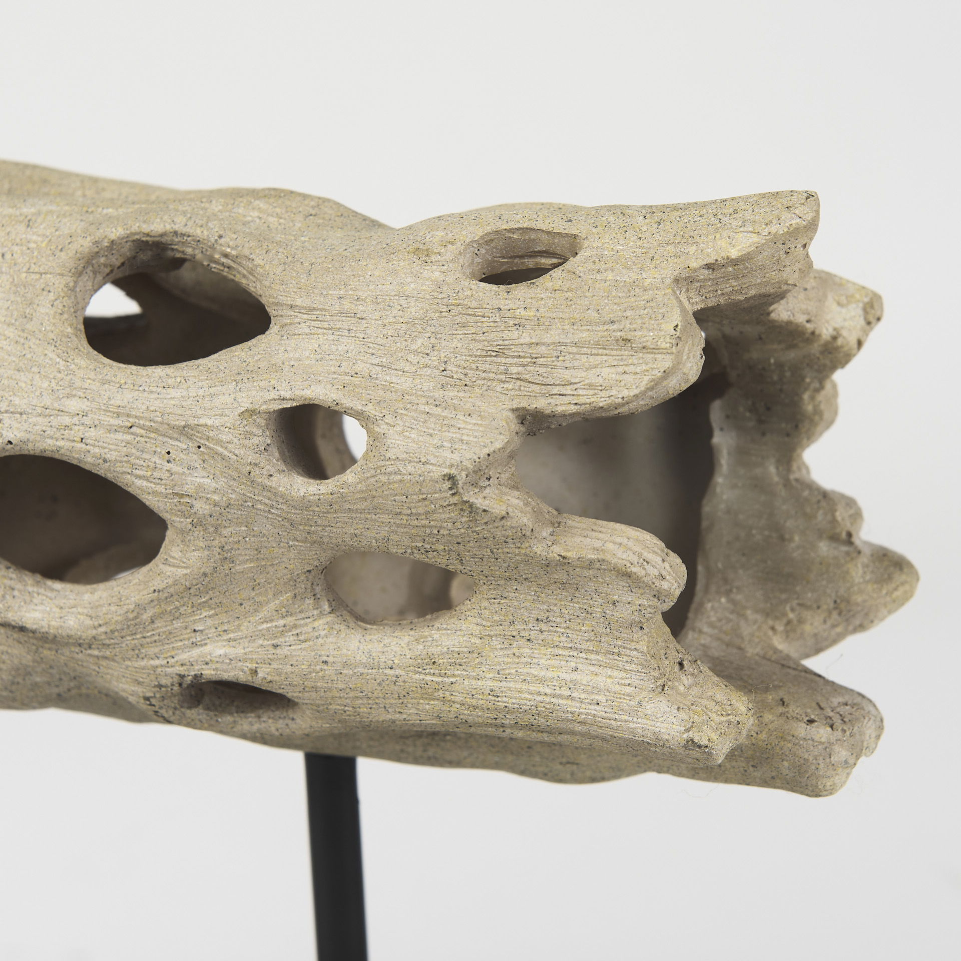 Dwell Cholla Wood Resin Decorative Object, by Mercana, 11.69" length x 5.91" width x 10.43" height View 10