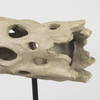 Dwell Cholla Wood Resin Decorative Object, by Mercana, 11.69" length x 5.91" width x 10.43" height thumbnail 10