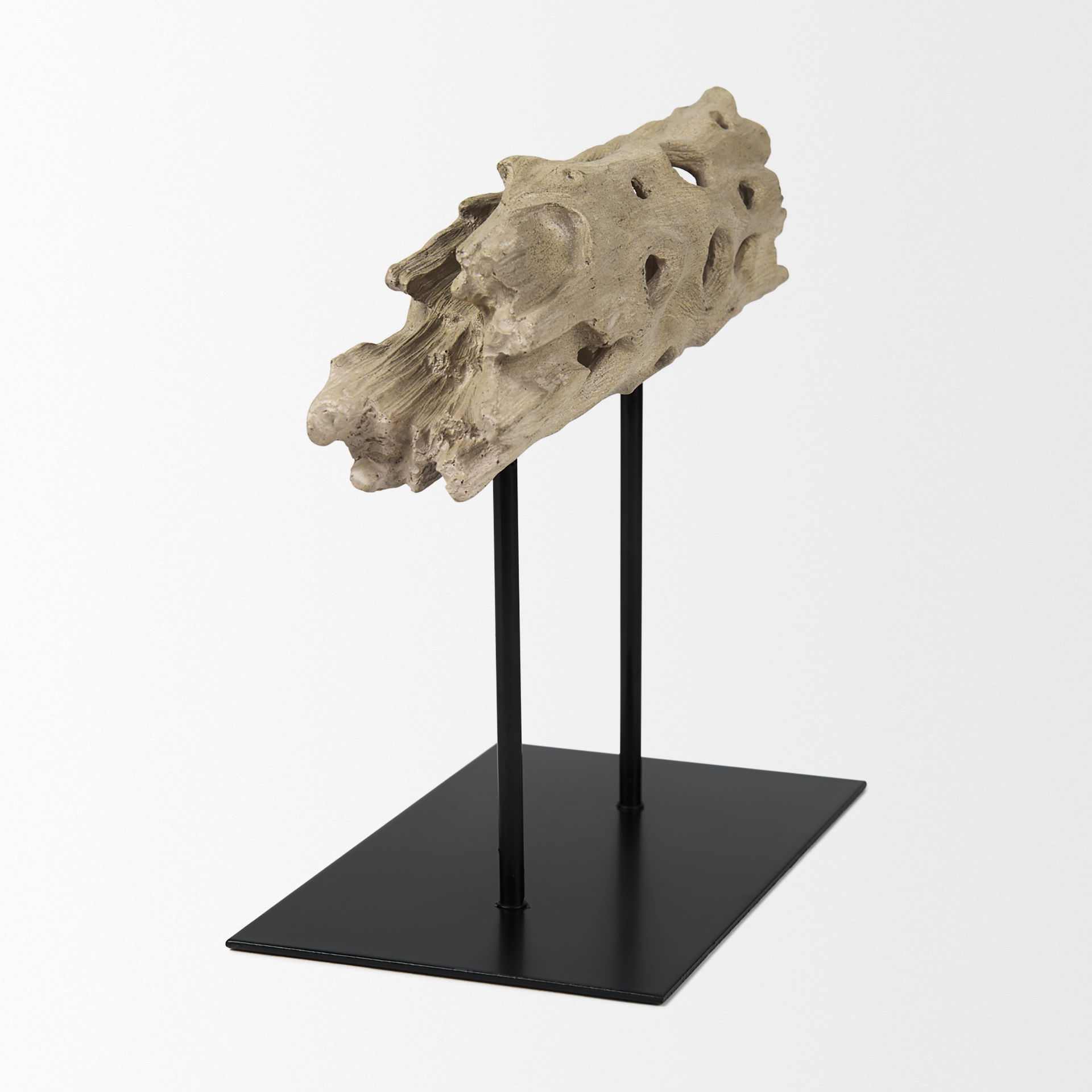 Dwell Cholla Wood Resin Decorative Object, by Mercana, 11.69" length x 5.91" width x 10.43" height View 6