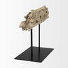 Dwell Cholla Wood Resin Decorative Object, by Mercana, 11.69" length x 5.91" width x 10.43" height thumbnail 6
