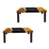 Clearwood Black Cornhole Game Set/2, by Uttermost, 24" width x 12" height x 48" depth thumbnail 6