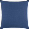 Dilip Accent Pillow, Decorative Pillow by Surya, 18" length x 18" width thumbnail