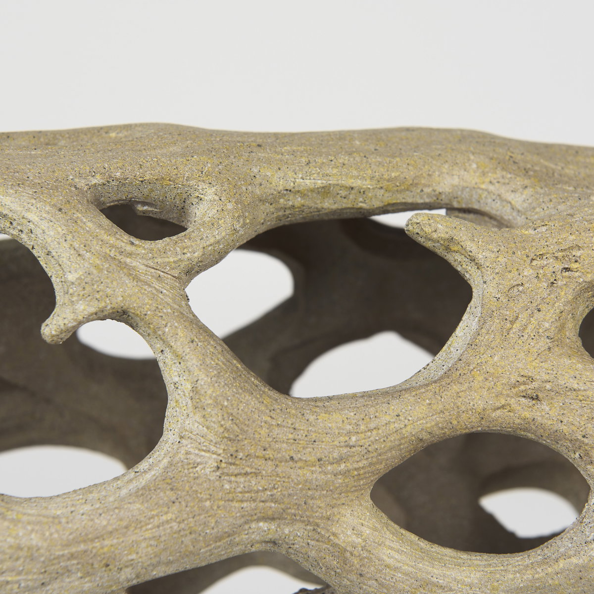 Dwell Cholla Wood Resin Decorative Object, by Mercana, 17.32" length x 7.09" width x 12.4" height View 9