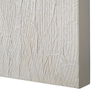 Mimosa Wall Art thumbnail 2