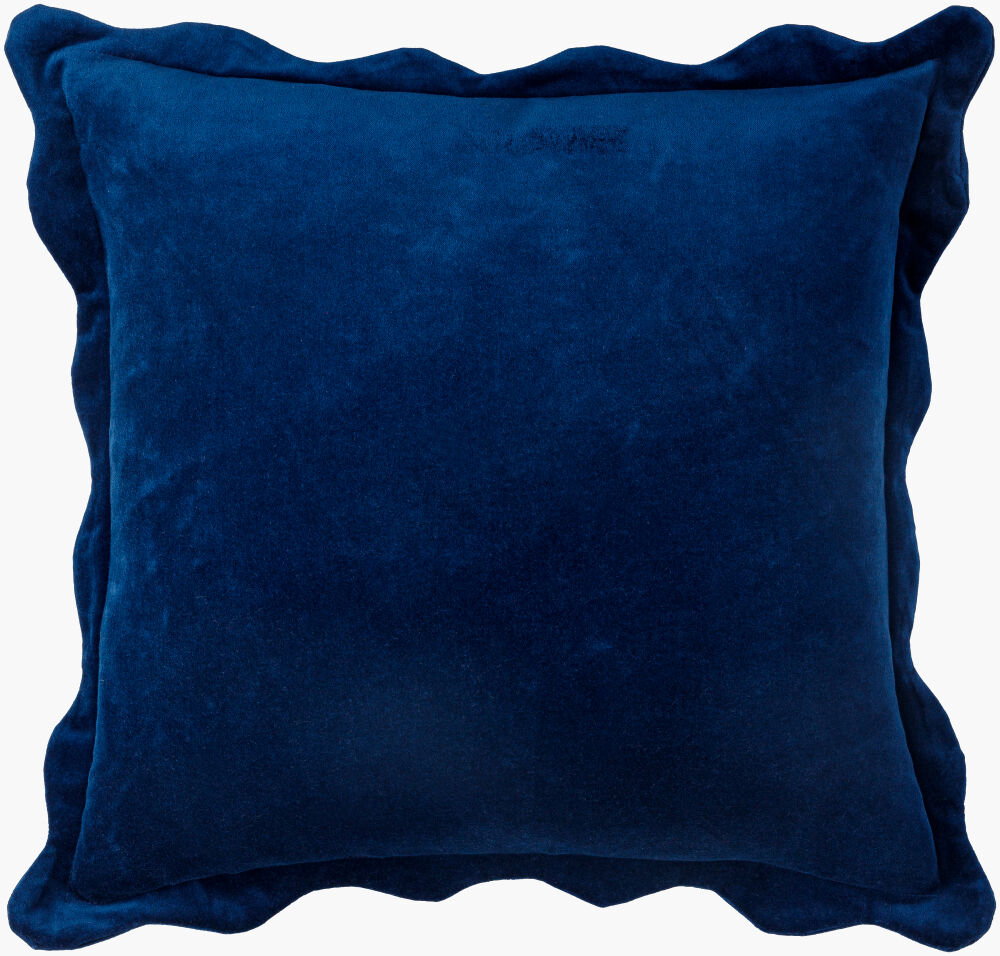 Effervescent Accent Pillow, Decorative Pillow by Surya, 18" length x 18" width