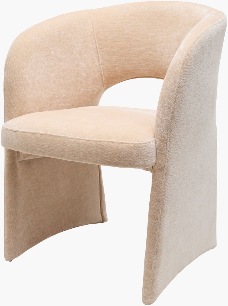 Rezza Dining Chair large image 