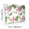 Coral & Green Lady Slipper Wallpaper, by York Wall, 27' length x 2'3" width x 0.02" depth thumbnail 6