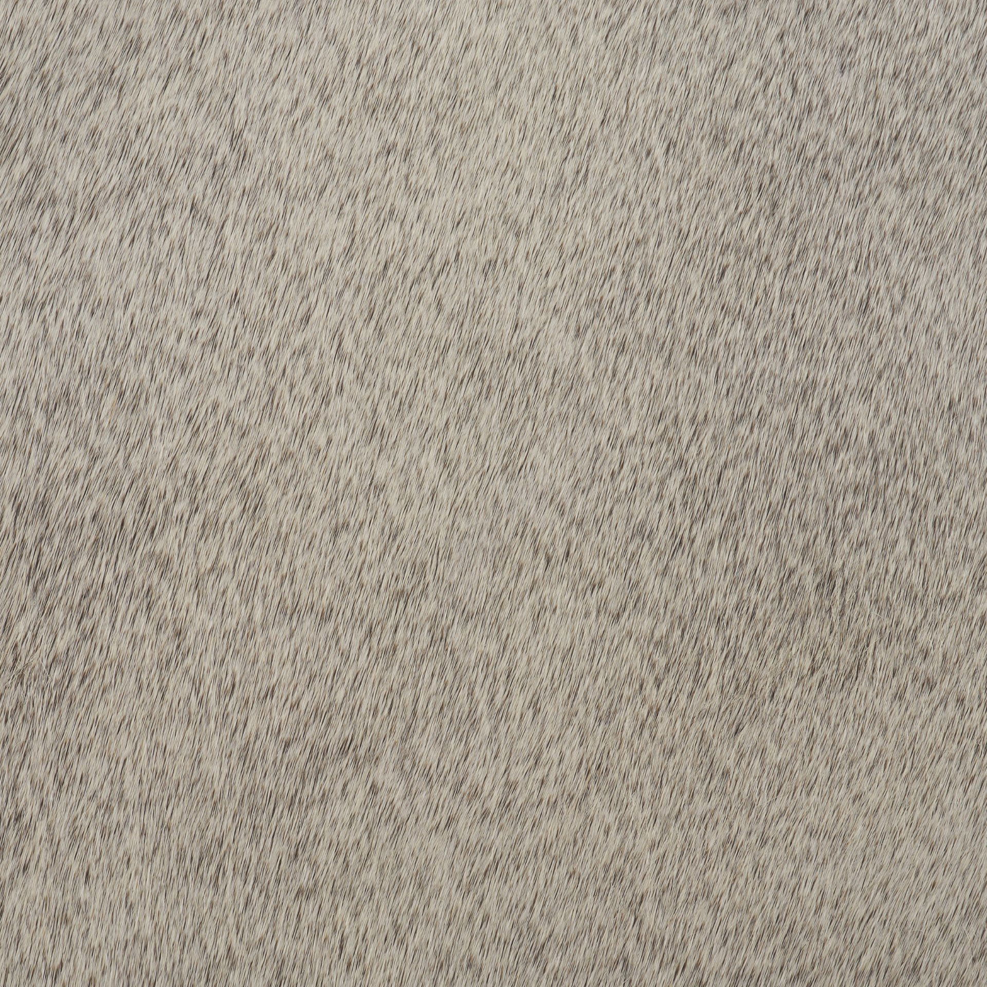 Millie 16.75 X 17.75 X 26.25 Hair-on-hide Seat with Gold Metal Frame Counter Stool, Counter & Bar Stool by Mercana, 16.75" length x 17.75" width x 26" height View 4