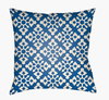 Litchfield Accent Pillow, Decorative Pillow by Surya, 20" length x 20" width thumbnail