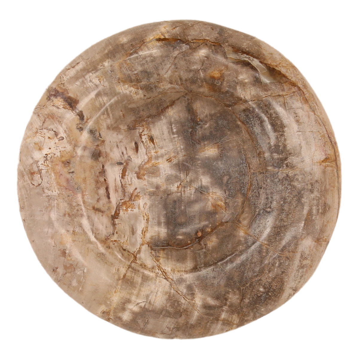 Meyra Tray Natural, Decor by Dovetail, 11.97" width x 3.15" height x 11.81" diameter x 11.93" depth View 2