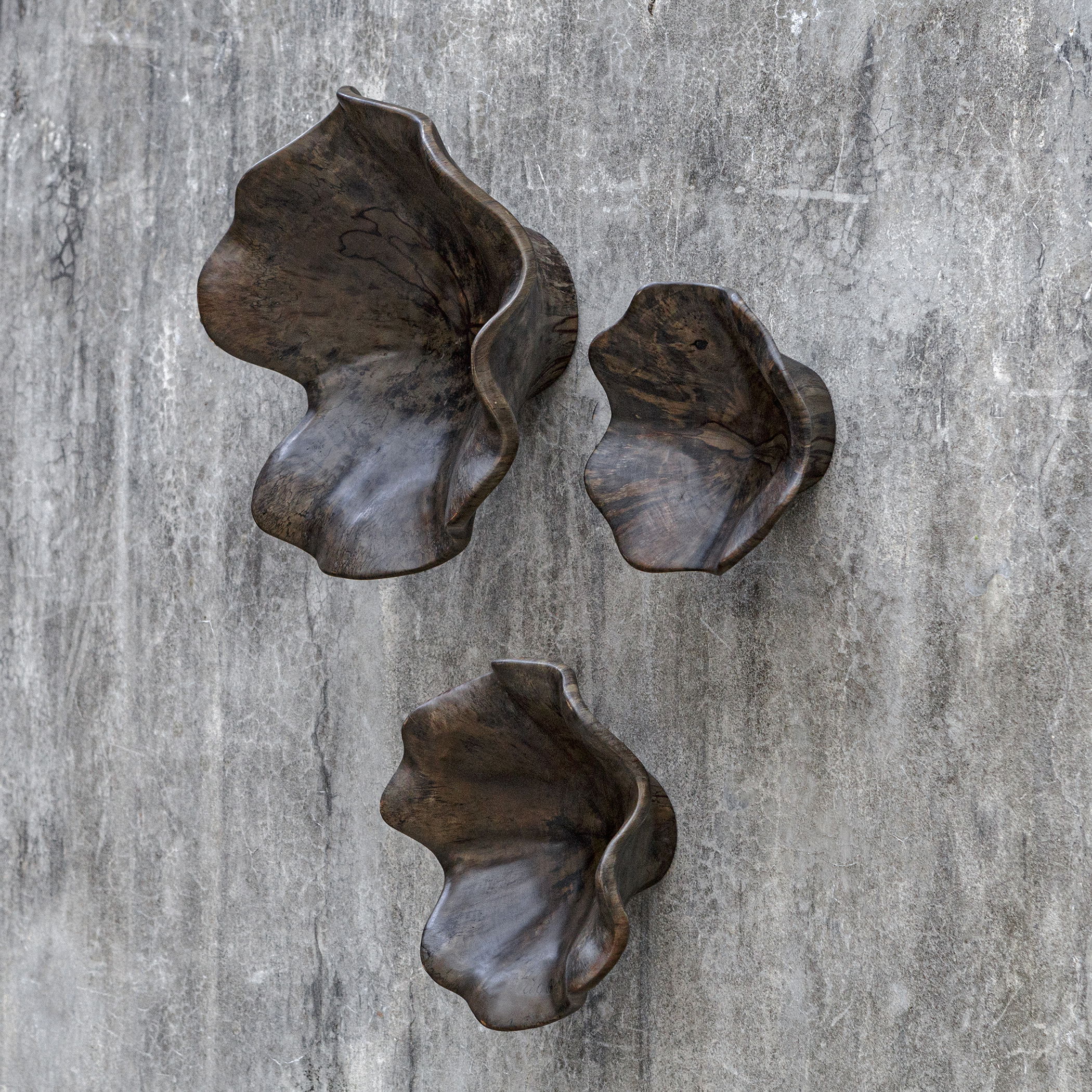 Two Wood Wall Décor In Mocha, S/3 large image 