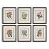Orchid Botanical Framed Prints Set/6, Painting by Uttermost, 20.5" width x 24.5" height x 2" depth thumbnail 1