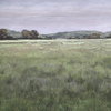 Quiet Meadows Framed Prints Set/4, by Uttermost, 1'4.87" width x 1'1.87" height x 2" depth thumbnail 5