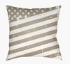 Americana III Accent Pillow, Decorative Pillow by Surya, 18" length x 18" width thumbnail