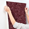 Anemoni Burgundy Wallpaper thumbnail 2