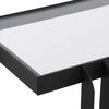 Shadow Black Iron Console Table thumbnail 8