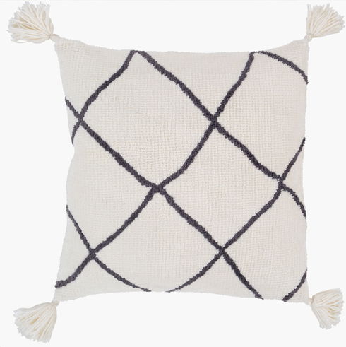 Braith Accent Pillow