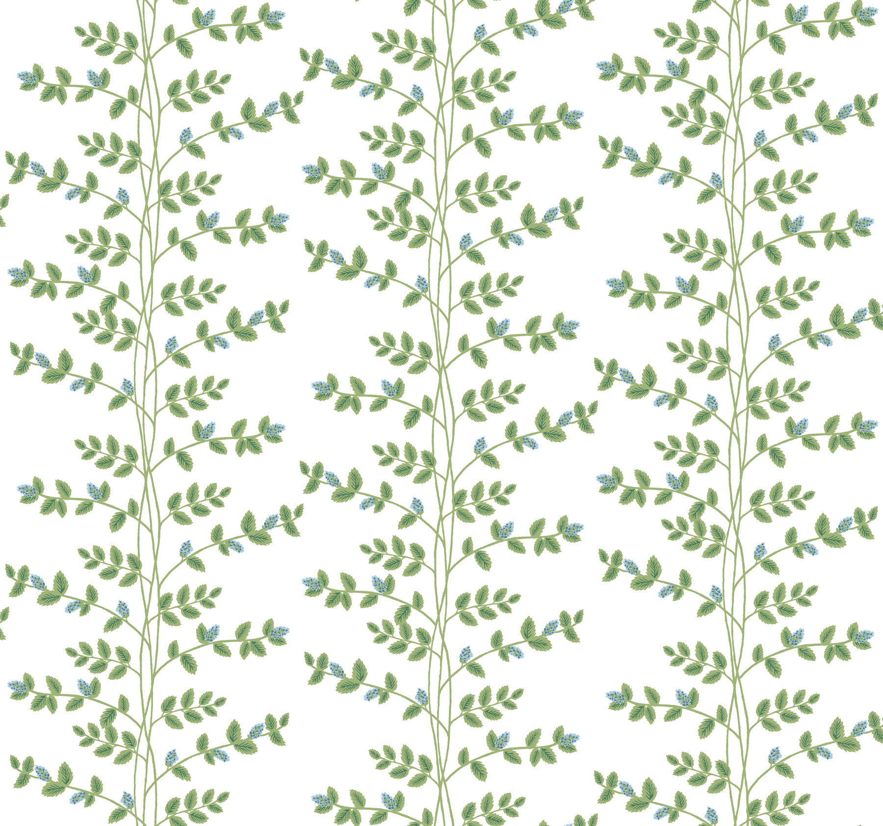 Climbing Vine Blue Wallpaper large image 