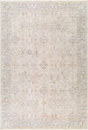 Avant Garde Machine Woven Rug, by Surya, 9'6.17" length x 6'6.74" width thumbnail