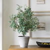 Marisol Potted Olive Plant, Decorative by Uttermost, 28.5" width x 45.25" height x 26.5" depth thumbnail 2