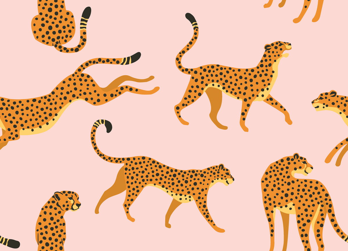 Cheetah Cheetah Pink Peel & Stick Wallpaper, by York Wall, 18'10.8" length x 1'6" width x 0.02" depth