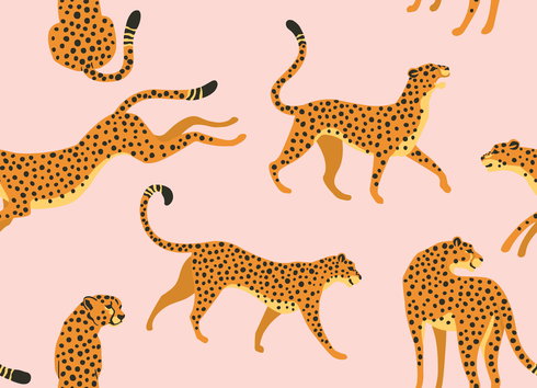 Cheetah Cheetah Pink Peel & Stick Wallpaper