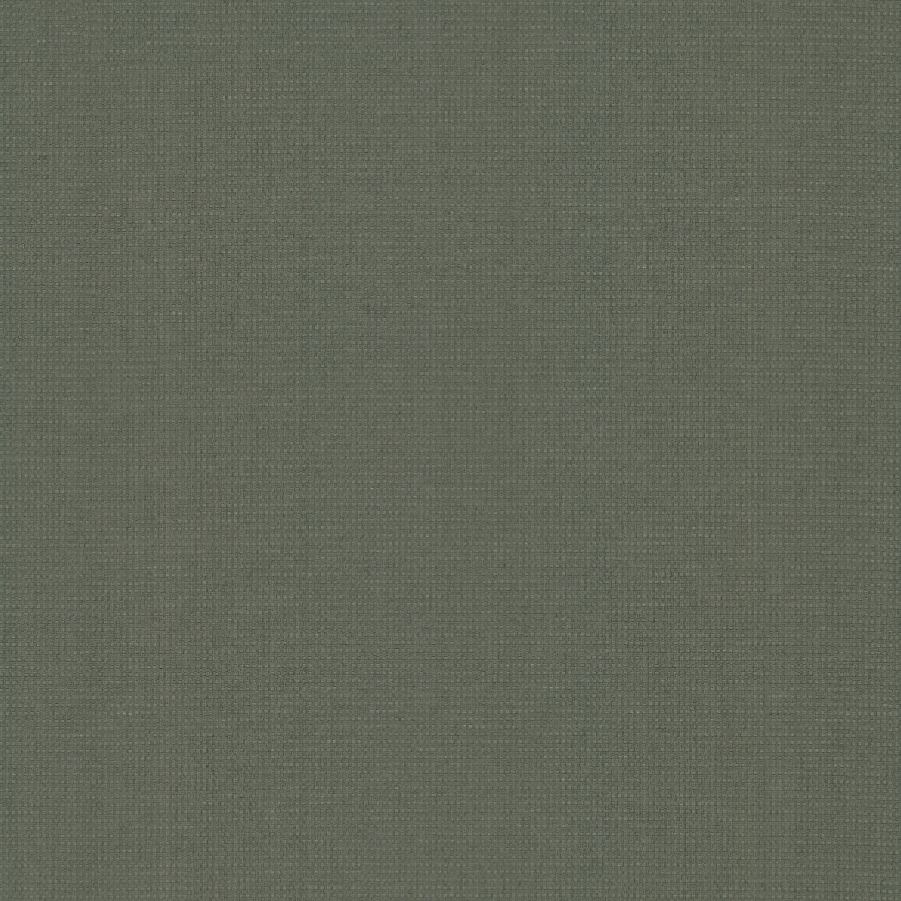 Wicker Work Evergreen Wallpaper large image 