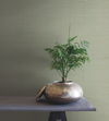 Plain Sisal Grasscloth Pink Wallpaper thumbnail 1
