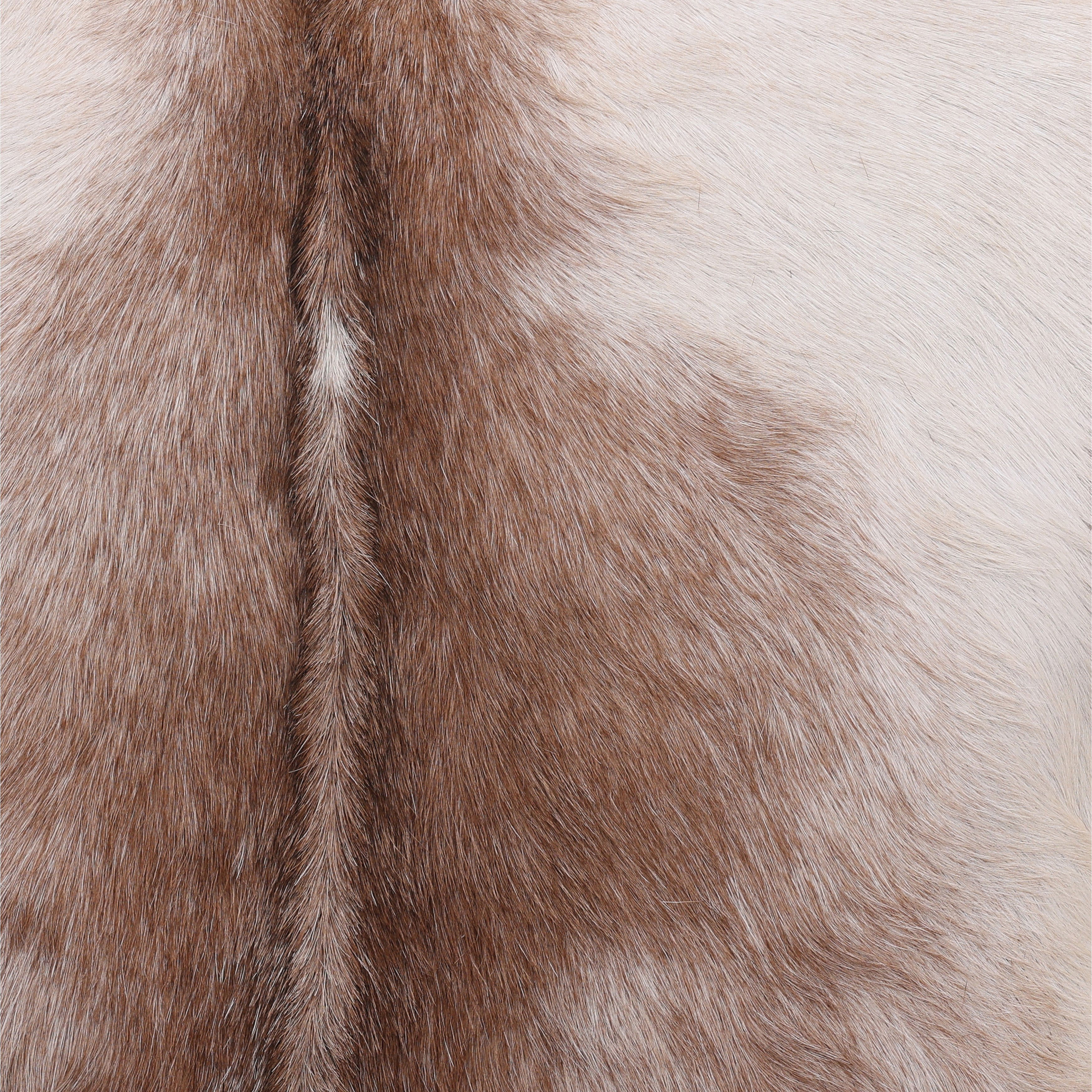 Bautista Occasional Chair Brown, Accent Chair by Dovetail, 25.83" width x 30.24" height x 34" depth View 7