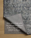 Amber Lewis x Loloi Josie Rug, 5' length x 7'6" width thumbnail 5