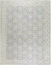 Aram Machine Woven Rug, by Surya, 2'11.43" length x 1'10.44" width thumbnail
