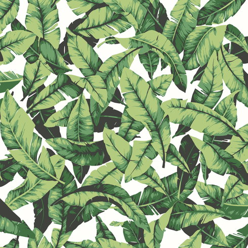 Palm Leaf Green Peel & Stick Wallpaper
