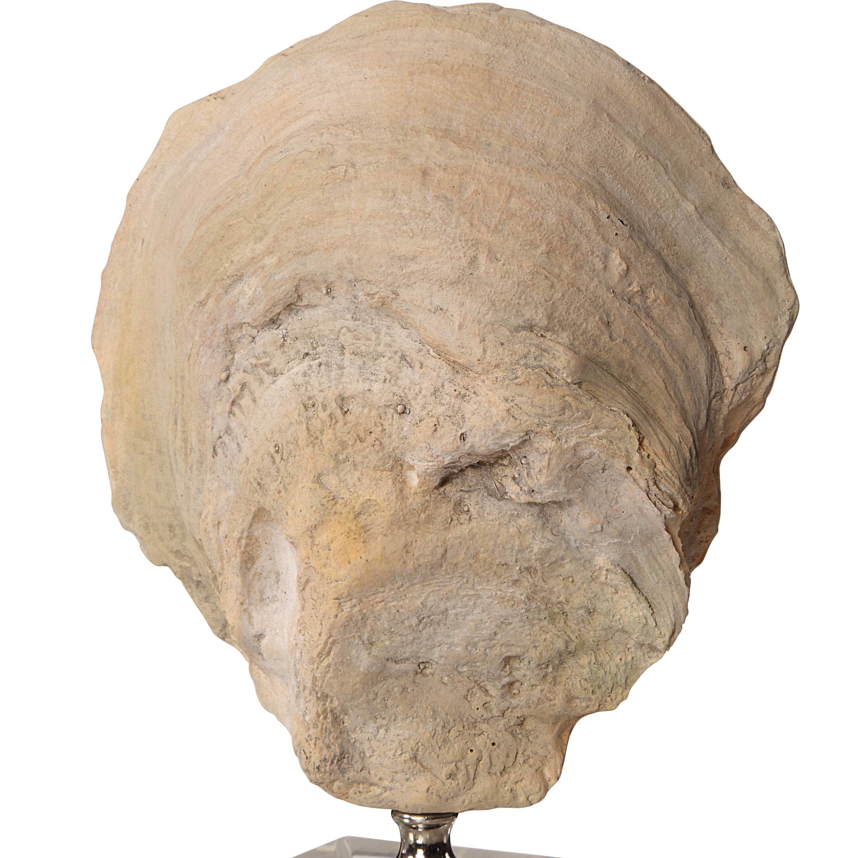 Oyster Shell Sculptures Set/2, Decorative by Uttermost, 5.25" width x 15.25" height x 3.12" depth View 6