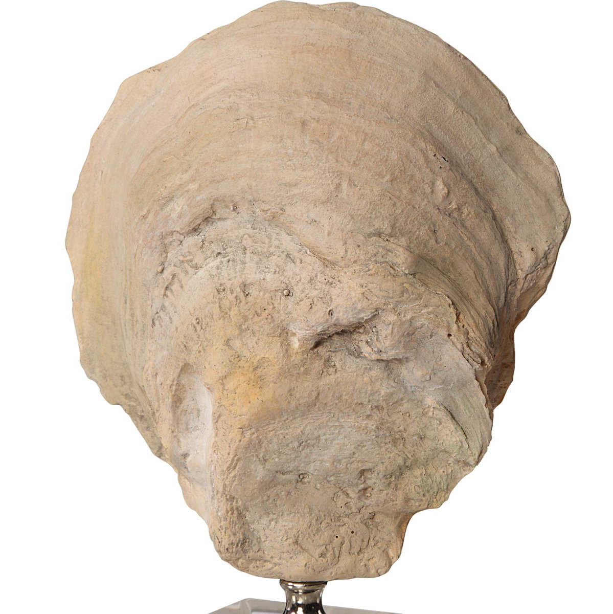Oyster Shell Sculptures Set/2, Figurines & Statue by Uttermost, 5.25" width x 15.25" height x 3.12" depth View 6